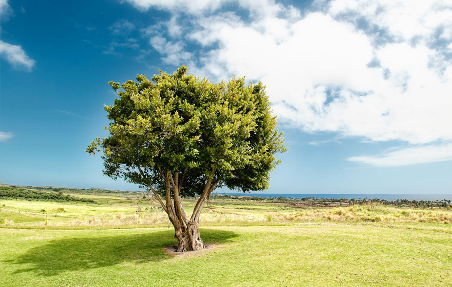 97¹ú¼Ê¡¤(ÖйúÇø)¼¯ÍŹٷ½ÍøÕ¾